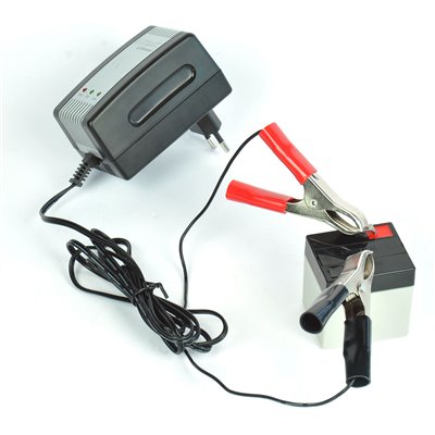 Battery (accu), 6V / 1 Ah with 2 cables with safety plugs