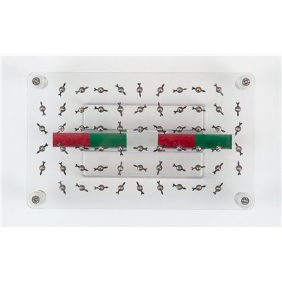 Magnetic field-lines, set Magnetic field-lines, set